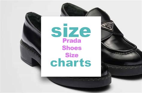 prada shoes size
